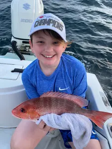 One grey snapper fish caught in Niceville