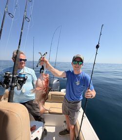 Red grouper catch on fishing boat in Niceville Florida waters