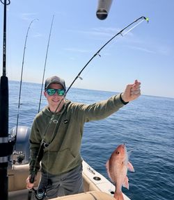 Red snapper caught while fishing in Niceville FL waters