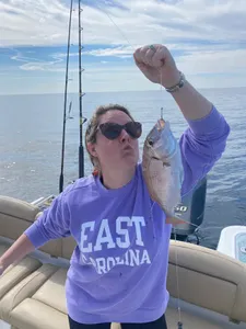 Scup fish caught while fishing in Niceville
