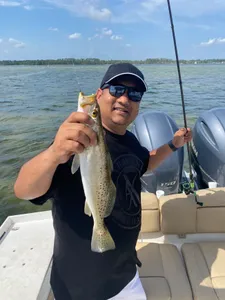 Spotted weakfish caught in Niceville