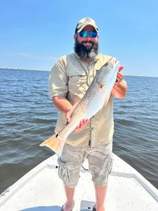 Perdido Key Redfish Beauty