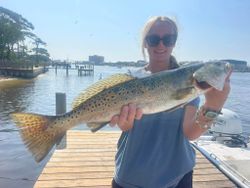 Trout Wonders in Perdido Key, AL