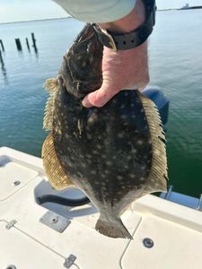 Perdido's Flounder Haven.