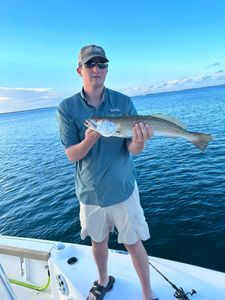 Perdido Key Finest Trout In Visuals