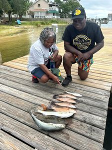 3 great fishing catches in AL
