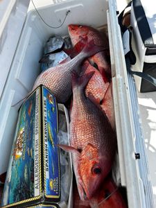 Fishing scene in AL, best outdoor adventure