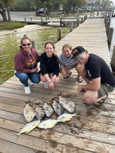 Permit and Florida Pompano, 14-inch fish, fishing in AL