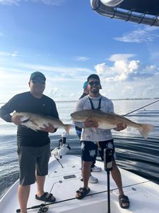 Two redfish caught during a fishing trip in Alabama