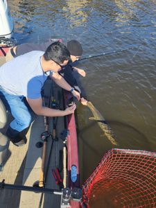 An American Eel fish in Mosinee