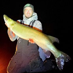 Angler catching a fish in Mosinee