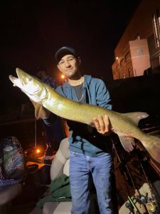 Angler fishing in Mosinee
