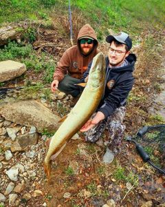 Best great fishing in WI
