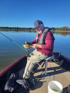 Bluegill fish caught while fishing in WI