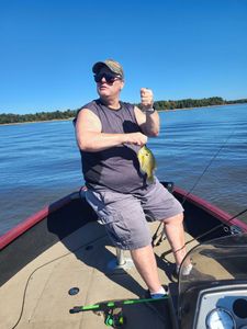 Bluegill fish caught while fishing in WI