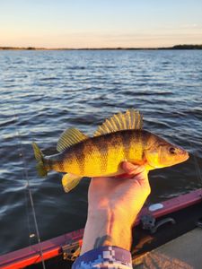 Picturesque landscape in WI with fishing gear