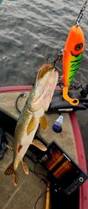 A fishing adventure in WI