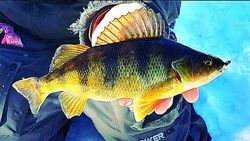 Fishing in WI