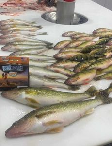 Angler's catch in Mosinee