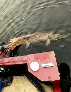 Fishing trip in WI