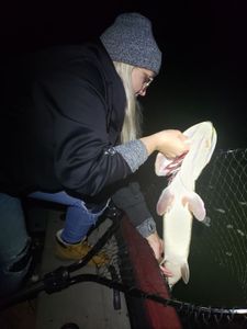 A great catch in Mosinee
