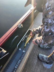 Fishing in WI
