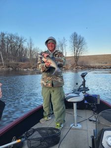 Hardhead Sea Catfish Catch in WI
