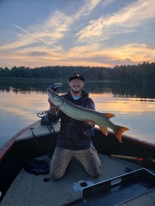 Muskellunge fishing in WI