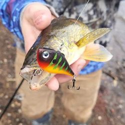A fishing trip to Mosinee