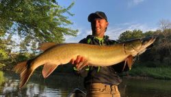 Muskellunge caught in WI