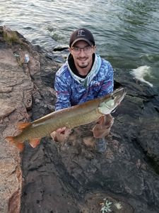 Muskellunge fish caught in WI