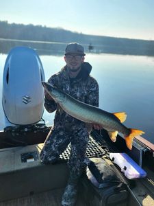 Muskellunge fish caught in Wisconsin