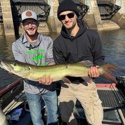 Muskellunge fish caught by two people in Mosinee