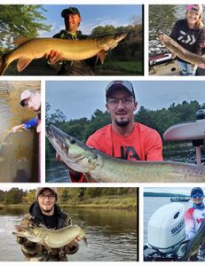 4 muskellunge fish caught during fishing in Mosinee