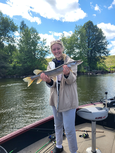 Northern Pike caught jigging and bait casting at the lake today!