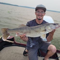 Sauger fish caught while fishing in WI