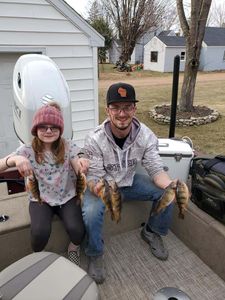 Four sheepshead fish caught while fishing in Mosinee