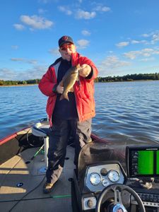 Smallmouth Bass caught in WI