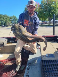 Wels catfish caught in Mosinee while fishing