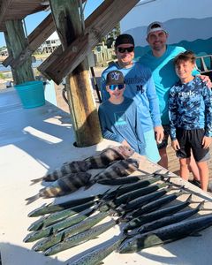 Two sheepshead fish caught during fishing trip in Gulf Shores