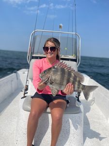 Sheepshead fish caught while fishing in AL