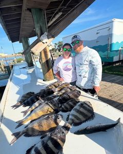 Sheepshead and Spanish Mackerel fish caught in Gulf Shores