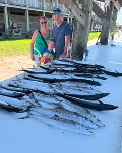 Two Spanish Mackerel fish in fishing scene