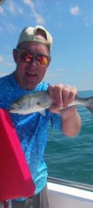 Angler with 1 fish caught in SC