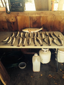 Fishing adventure in LA