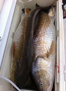 Two fishermen with their fishing rods in LA