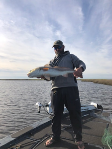 Fisherman reeling in a catch at St Bernard