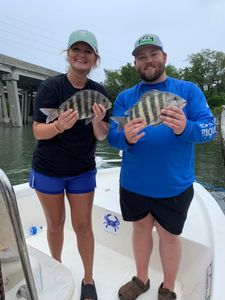Dive into Discovery: Hilton Head Fishing!