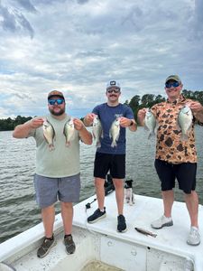 Successful crappie fishing trip in Moncure NC with six fish caught on boat