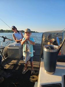 Blue catfish caught while fishing in TX